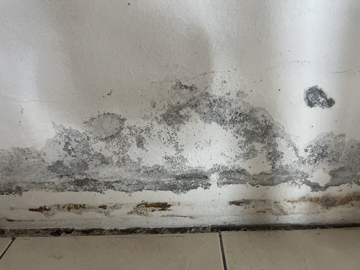 Mur imprégné d'humidité par remontée capillaire