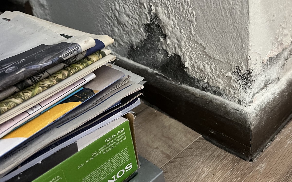 Faire diagnostiquer une inflitration par un professionnel à La Réunion